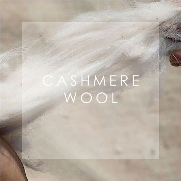 CASHMERE WOOL